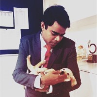 Abhinav Raghav