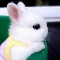 최형빈