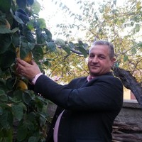 Özay Yavuz