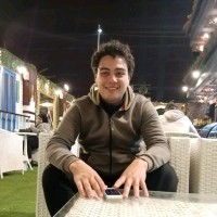 Karim Elsaaid