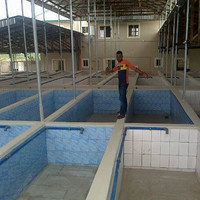 Adex Michael
