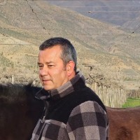 Jose Luis Basualdo Gallardo