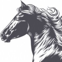 Jai Krishnan - Web + Mobile Apps