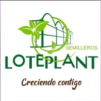 María José Martín