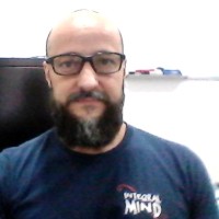 Nelson de Araujo Faria Jr