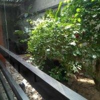 邓立钊