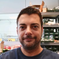 Paolo Rizzetti
