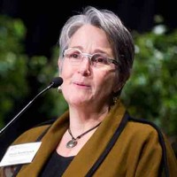 Diane Stollenwerk