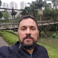 Marcelo Botini Tavares