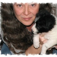 Tammy Johnston