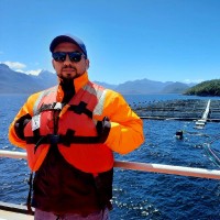 daniel vidal mansilla
