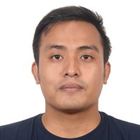 Dilip Ale