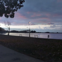 Maria Beatriz Giaimo