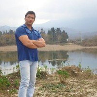 sajad mohamadi