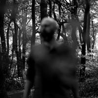 Nick Wiltshire