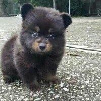 许海明