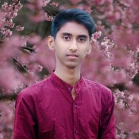 Omar Hossain Hridoy