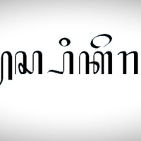Dar Co