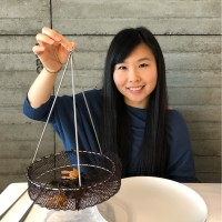 Lyn Fang, P.Eng.