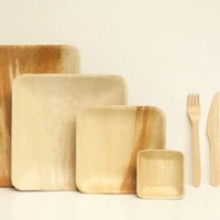 Kavitha N