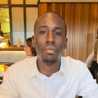 Femi George