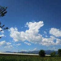 韩卫东