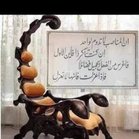 Mohamed Fathy