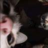 Max undefined