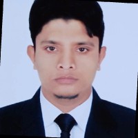 Razaul Robi