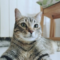 Rubén García Palacín