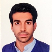 Hamed Sargazi