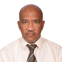 Yasir A. A. Hassan
