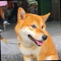 Ash Hoi