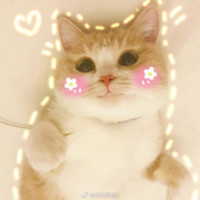Wen Hu