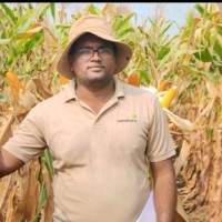 Dr Nagabhushana Thimmanna