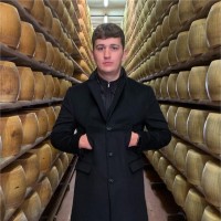 Stefano Fedi