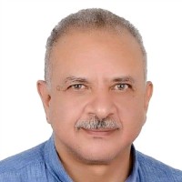 Mohamed Rushdi