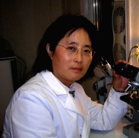 Renjie Chang