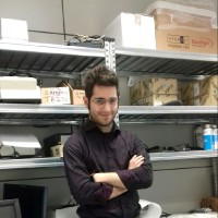 Luigi Parisi