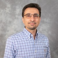 Mohammad Javad Mirshojaeian Hosseini