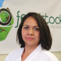 Ivonne Villalba
