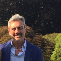 Massimo Campi
