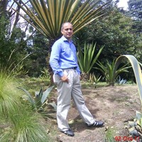 D.P. Ernesto Jaimes