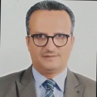 AMR FADEL