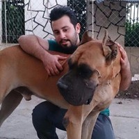 Farzin Barzegar
