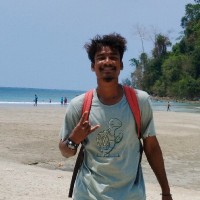 Dinesh David