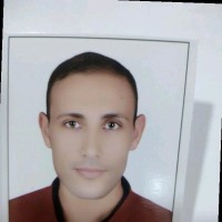 Mousa Atef Amer Elhabashy