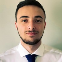 Ramiz Hamzabegovic
