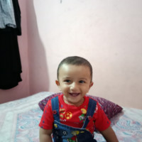 Muhammed Saleem Bilal