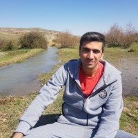 hamed afzali